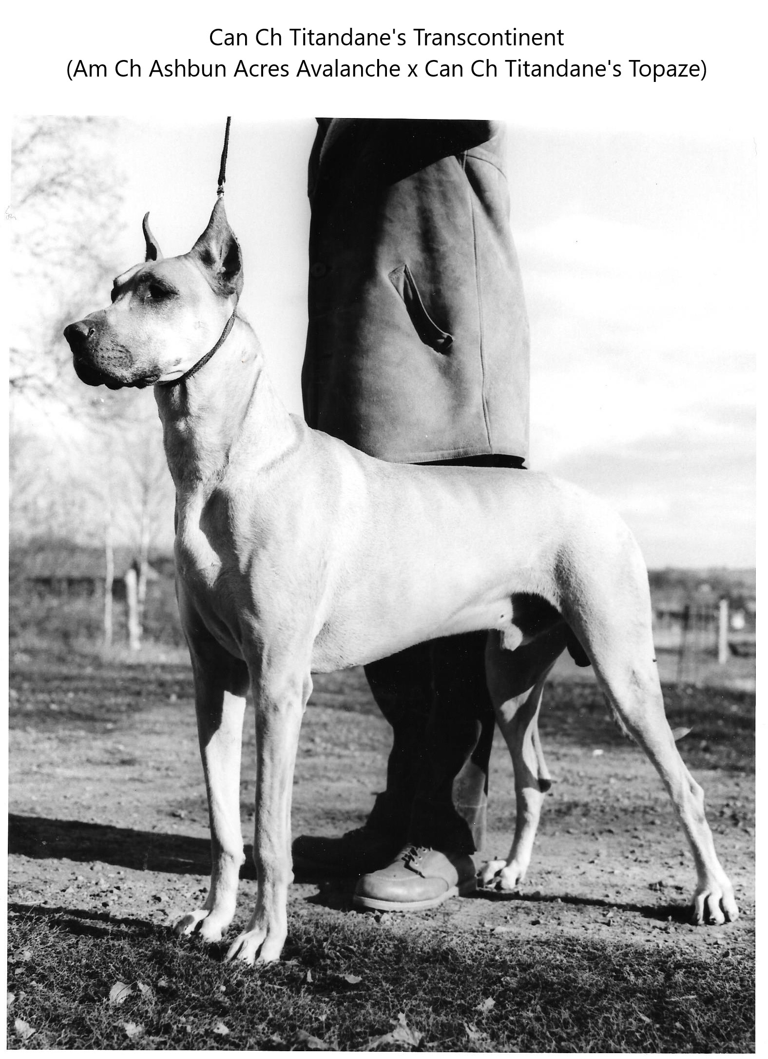 Titan Fall of 73 Age 5